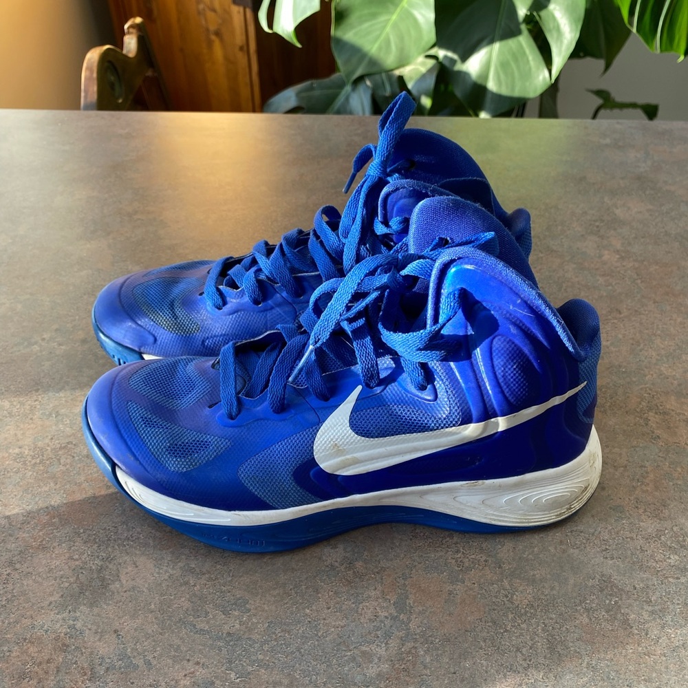 Nike Basketball court shoes